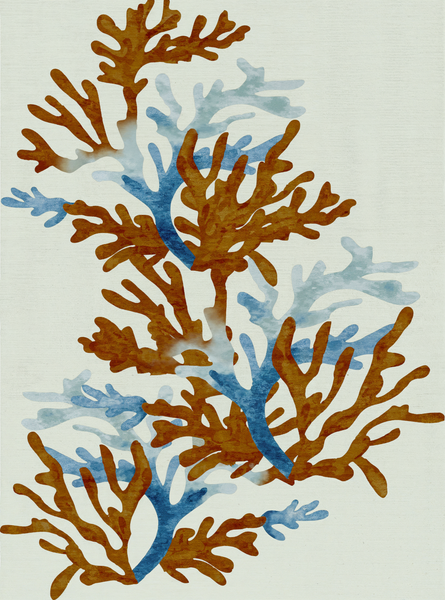 Thalassic Tufted
